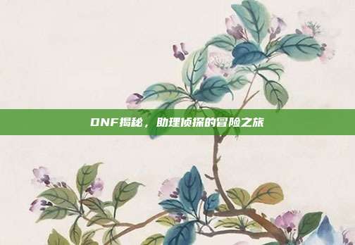 DNF揭秘,助理侦探的冒险之旅