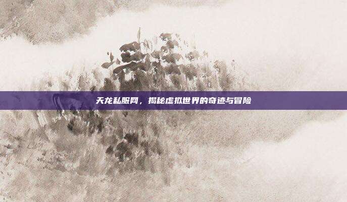 天龙私服网,揭秘虚拟世界的奇迹与冒险