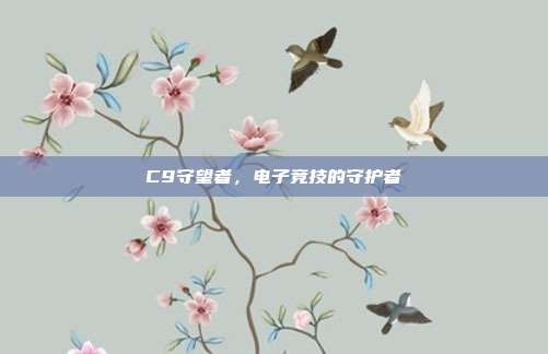 C9守望者,电子竞技的守护者