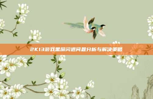 2K13游戏黑屏闪退问题分析与解决策略