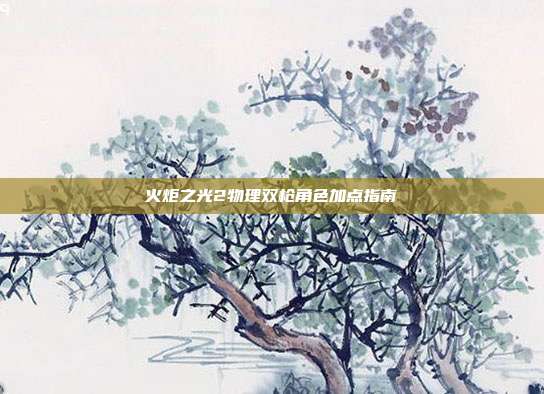 火炬之光2物理双枪角色加点指南