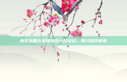 微软高管与英国财政大臣会谈,探讨合作前景