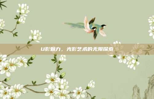 U影魅力,光影艺术的无限探索