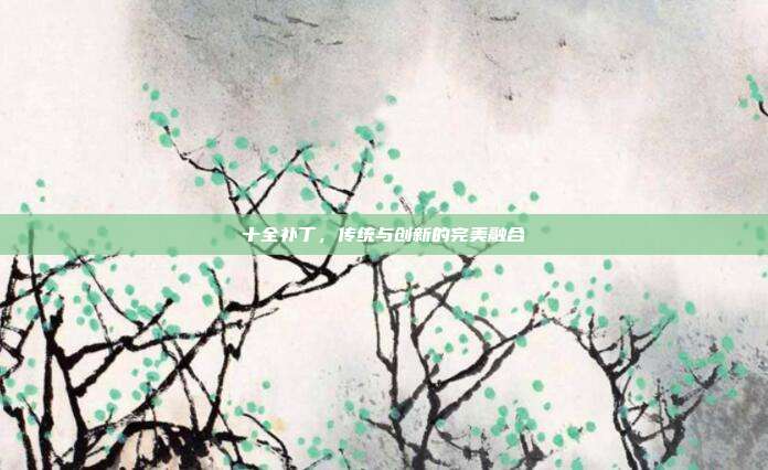 十全补丁,传统与创新的完美融合