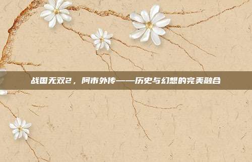 战国无双2,阿市外传——历史与幻想的完美融合