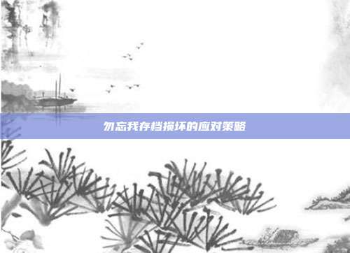 勿忘我存档损坏的应对策略