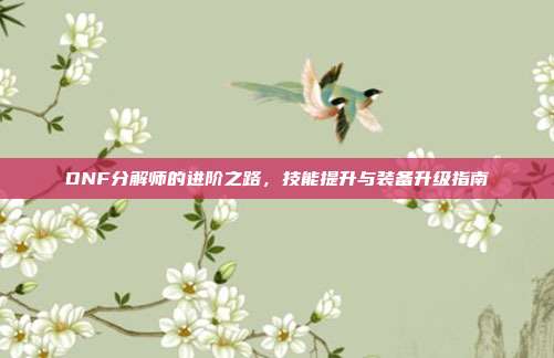 DNF分解师的进阶之路,技能提升与装备升级指南