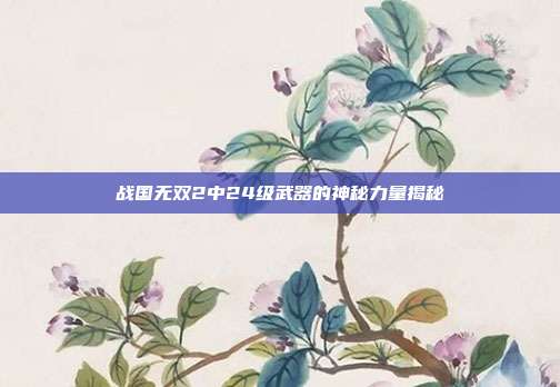 战国无双2中24级武器的神秘力量揭秘