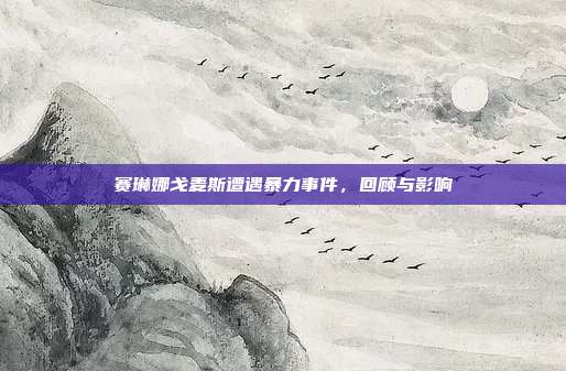 赛琳娜戈麦斯遭遇暴力事件,回顾与影响