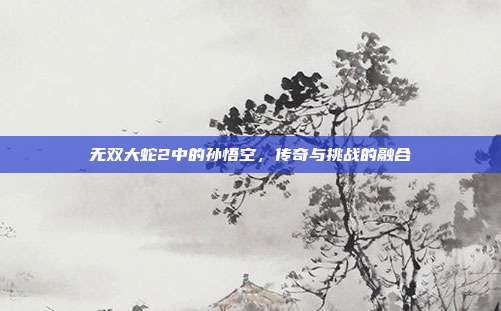 无双大蛇2中的孙悟空,传奇与挑战的融合