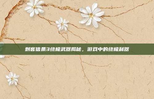 刺客信条3终极武器揭秘,游戏中的终极利器