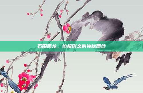 石田雨龙,终极形态的神秘面纱