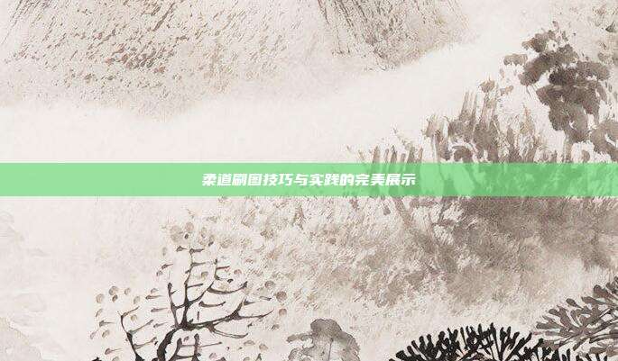 柔道刷图技巧与实践的完美展示