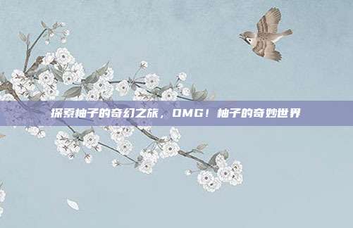 探索柚子的奇幻之旅,OMG!柚子的奇妙世界