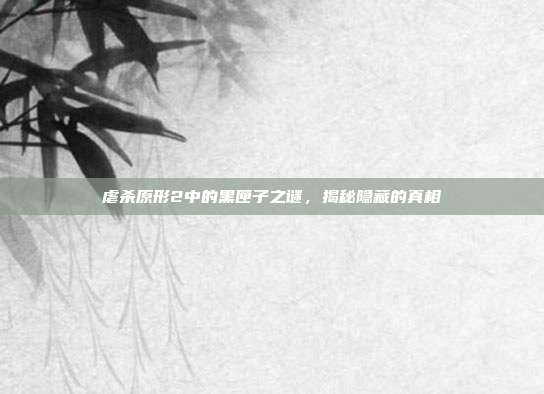 虐杀原形2中的黑匣子之谜,揭秘隐藏的真相