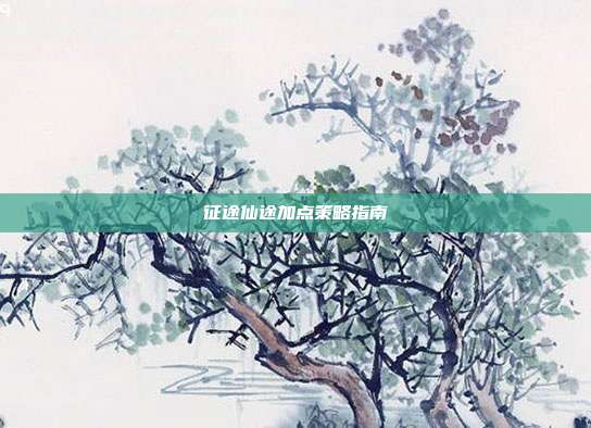 征途仙途加点策略指南
