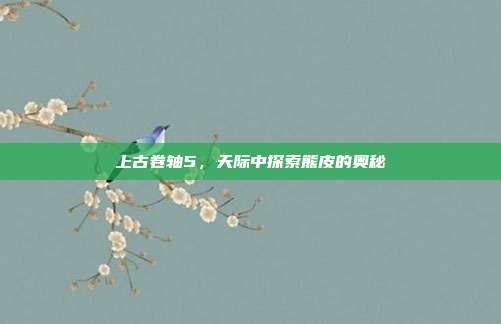 上古卷轴5,天际中探索熊皮的奥秘