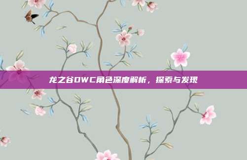 龙之谷DWC角色深度解析,探索与发现