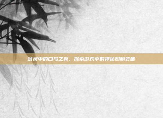 剑灵中的白鸟之翼,探索游戏中的神秘翅膀装备