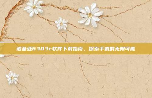诺基亚6303c软件下载指南,探索手机的无限可能