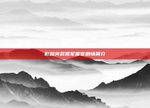 影踪突袭营军需官剧情简介