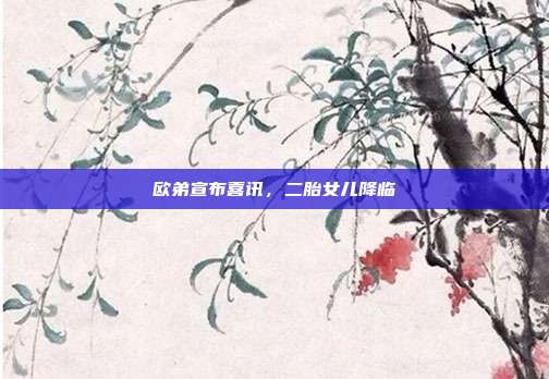 欧弟宣布喜讯,二胎女儿降临