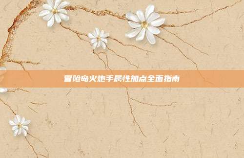 冒险岛火炮手属性加点全面指南