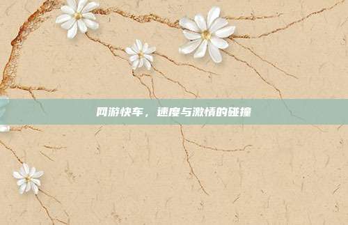 网游快车,速度与激情的碰撞