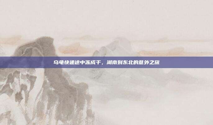 乌龟快递途中冻成干,湖南到东北的意外之旅