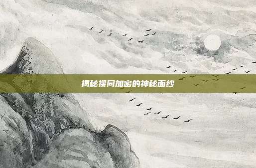 揭秘搜同加密的神秘面纱