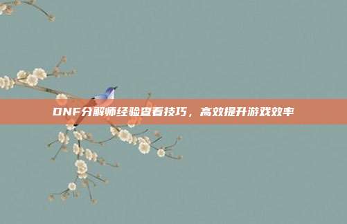 DNF分解师经验查看技巧,高效提升游戏效率