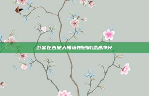 游客在西安大雁塔拍照时遭遇冲突