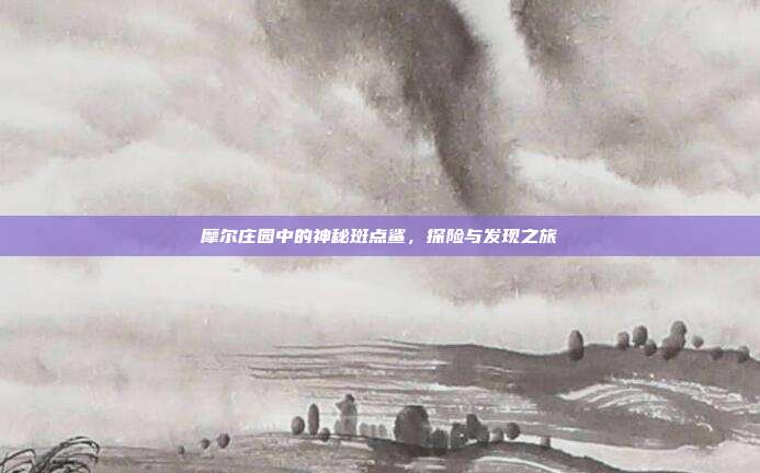 摩尔庄园中的神秘斑点鲨,探险与发现之旅