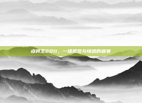 点将王2011,一场视觉与情感的盛宴