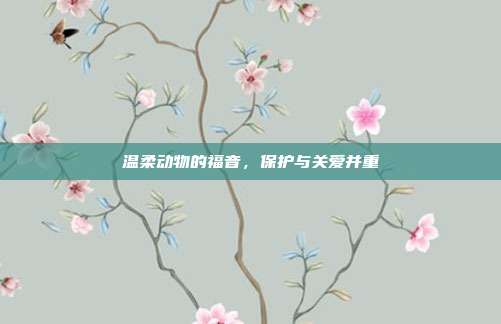温柔动物的福音,保护与关爱并重