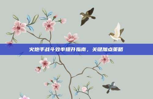 火炮手战斗效率提升指南,关键加点策略