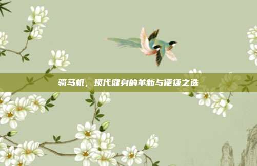 骑马机,现代健身的革新与便捷之选