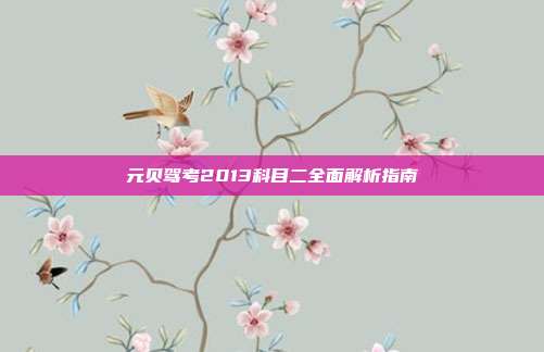 元贝驾考2013科目二全面解析指南