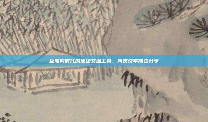 互联网时代的便捷交通工具,网友快车体验分享