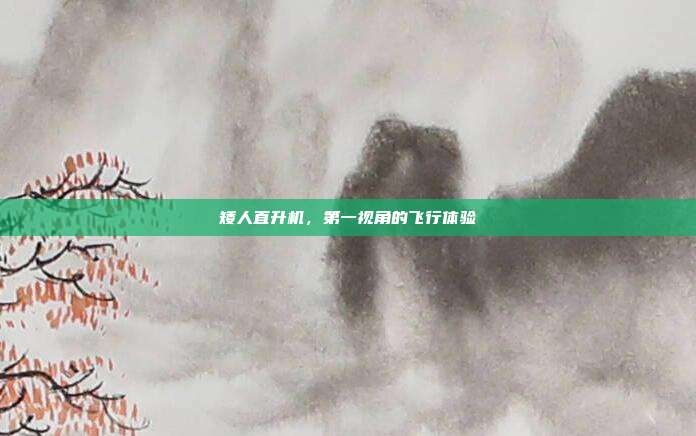 矮人直升机,第一视角的飞行体验