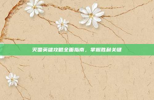 灭国英雄攻略全面指南,掌握胜利关键