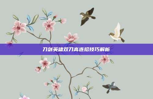 刀剑英雄双刀高连招技巧解析