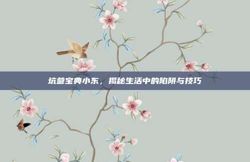 坑爹宝典小东,揭秘生活中的陷阱与技巧