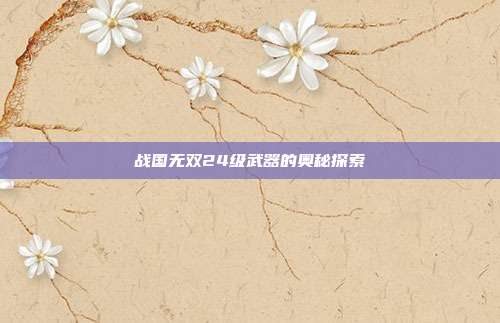 战国无双24级武器的奥秘探索