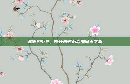 迷雾23-2,揭开未知面纱的探索之旅