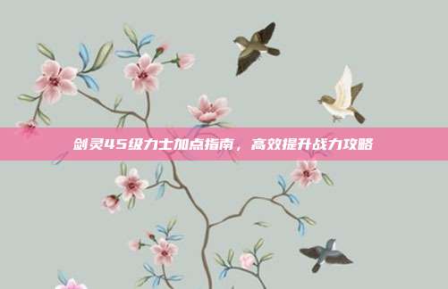 剑灵45级力士加点指南,高效提升战力攻略