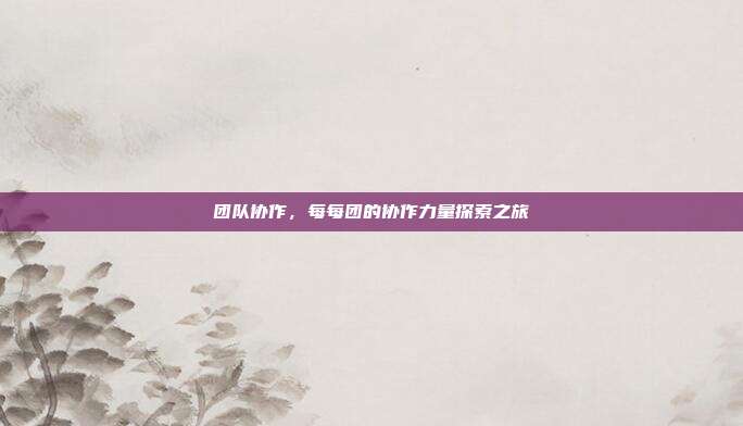 团队协作,每每团的协作力量探索之旅