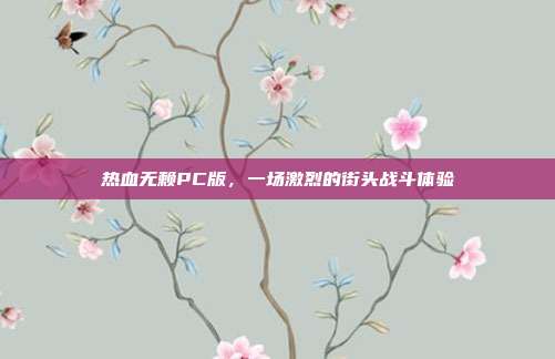 热血无赖PC版,一场激烈的街头战斗体验