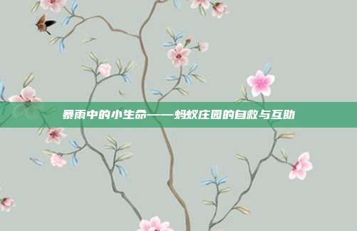 暴雨中的小生命——蚂蚁庄园的自救与互助