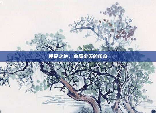 埋骨之地,申屠奎英的传奇